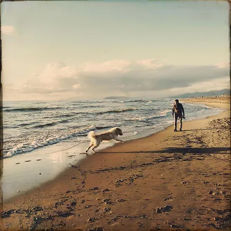Casafornaciari * Viareggio